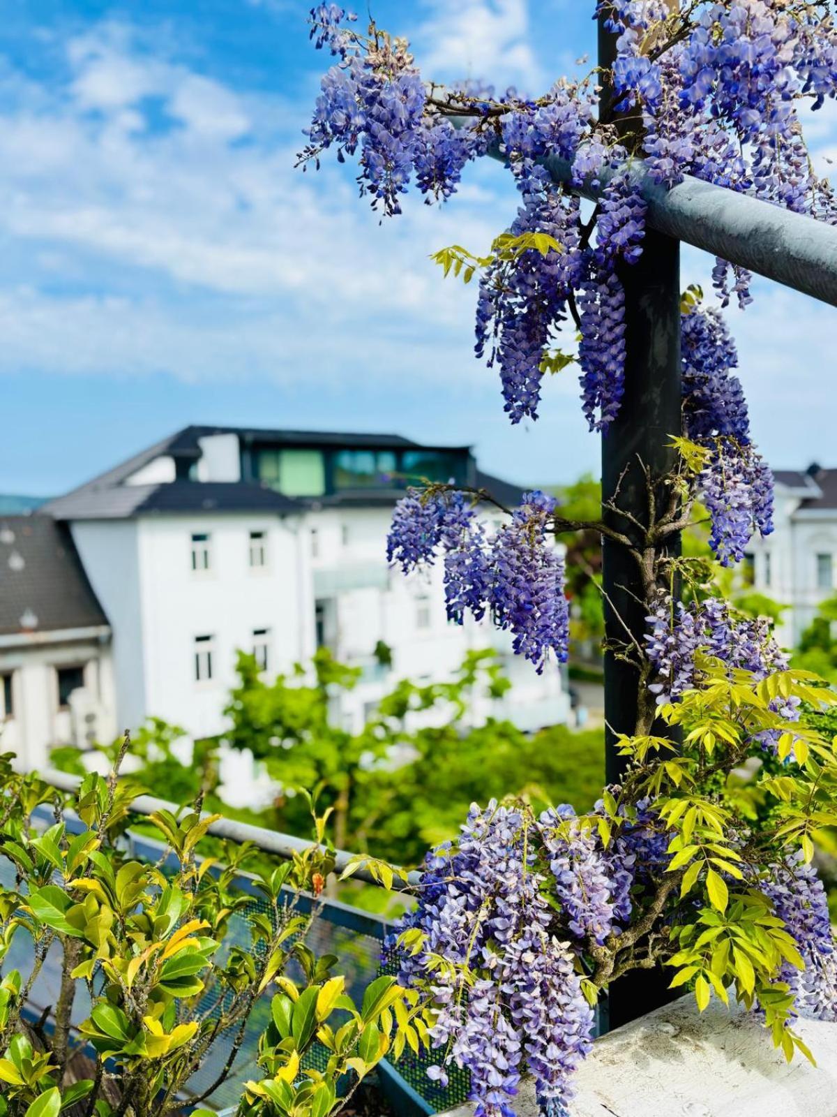 Pension Am Sueltebrunnen Bad Oeynhausen Esterno foto